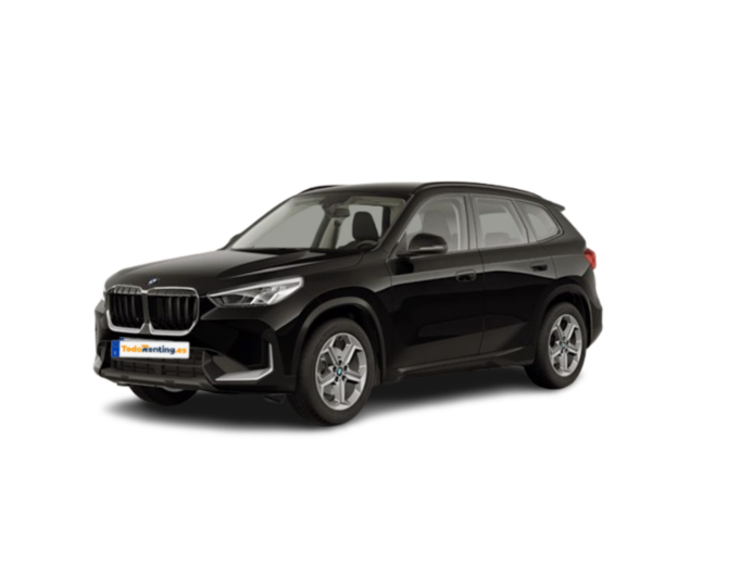 bmw x1 matricula